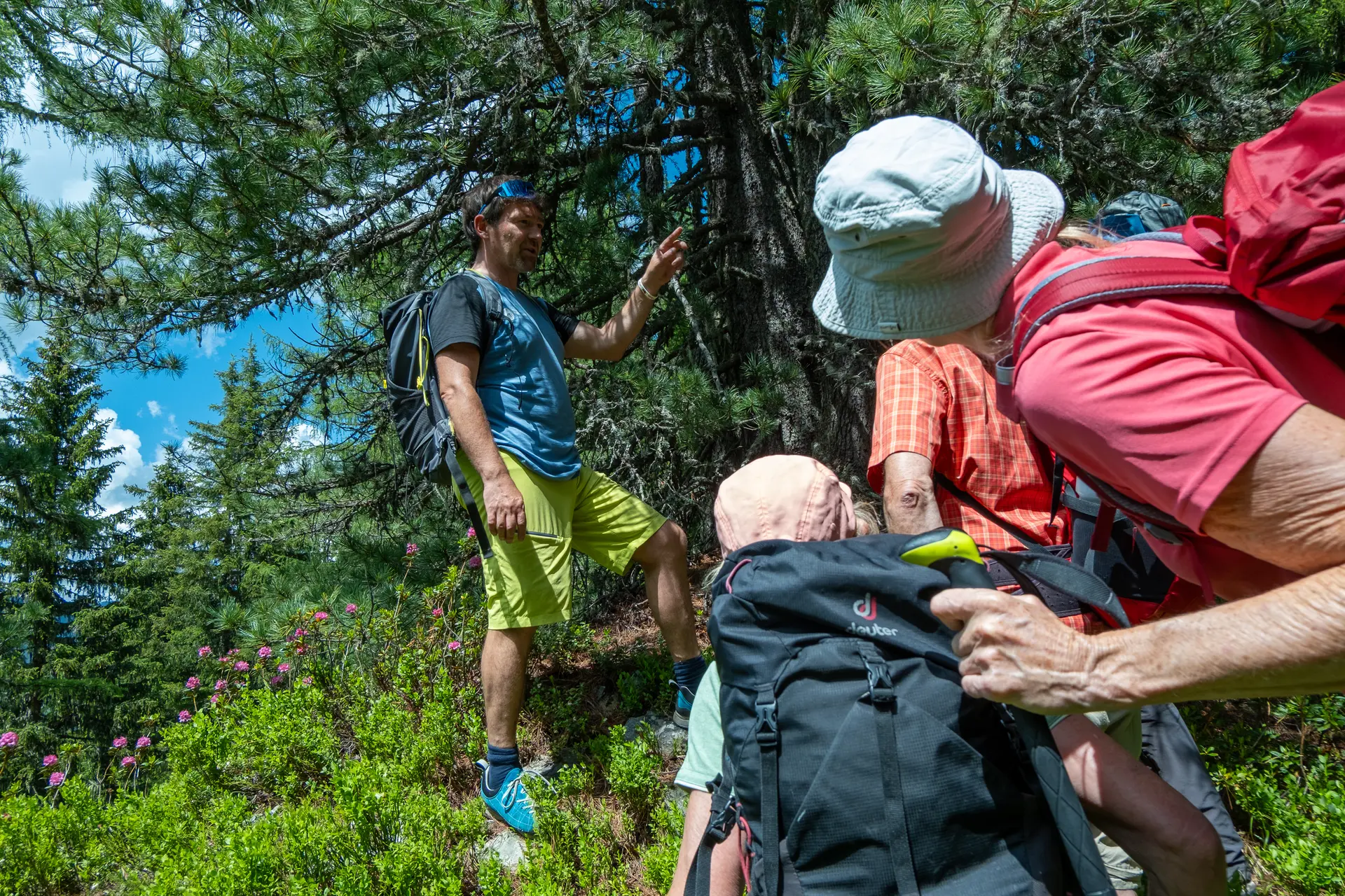 Naturwanderung mit dem Naturpark-Ranger Willi | © Thomas Rychly