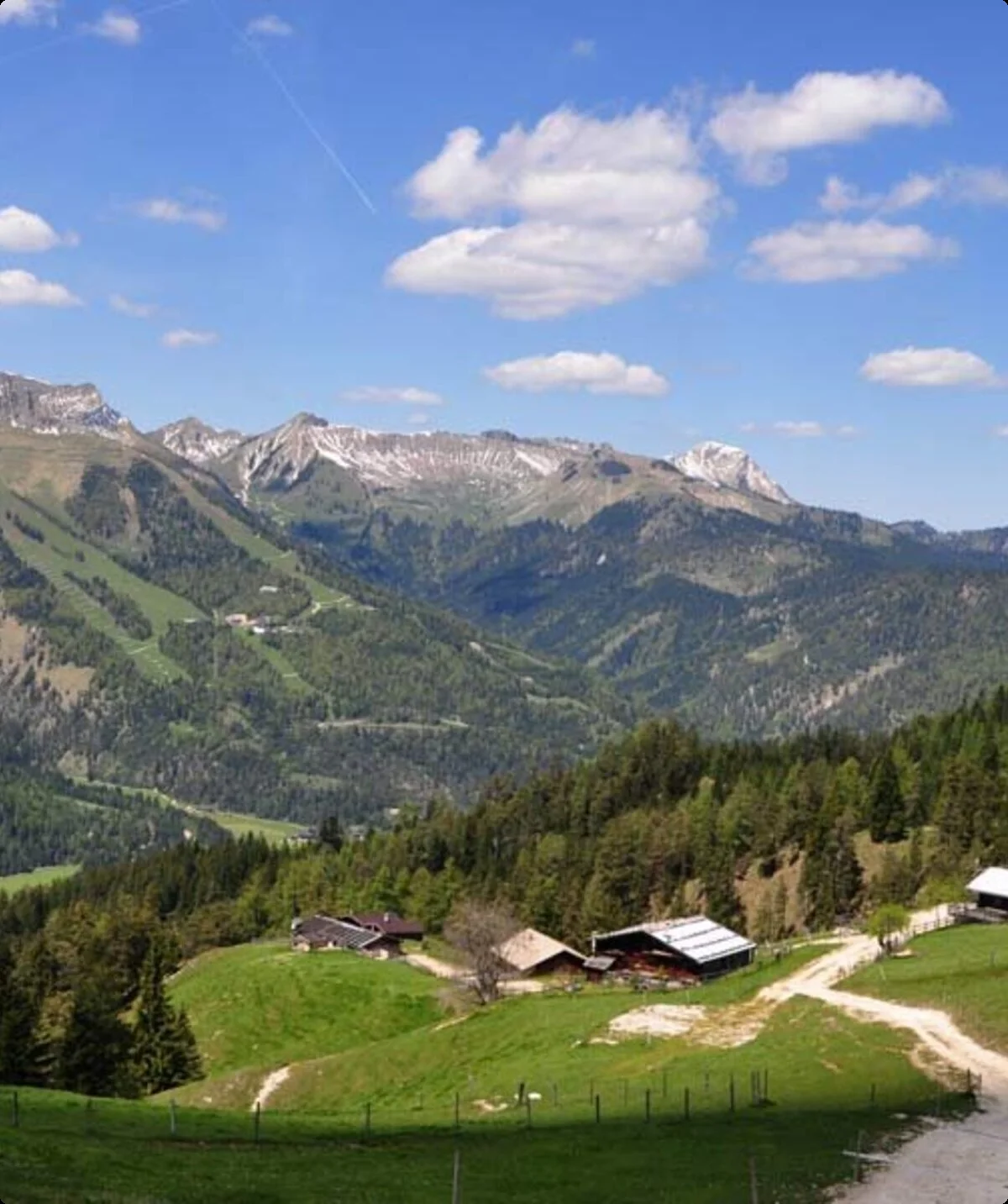 © Sabine Strößenreuther