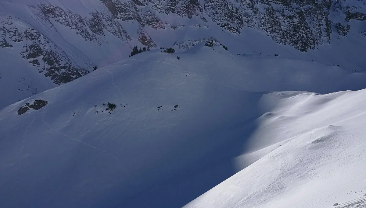 © Markus Auer