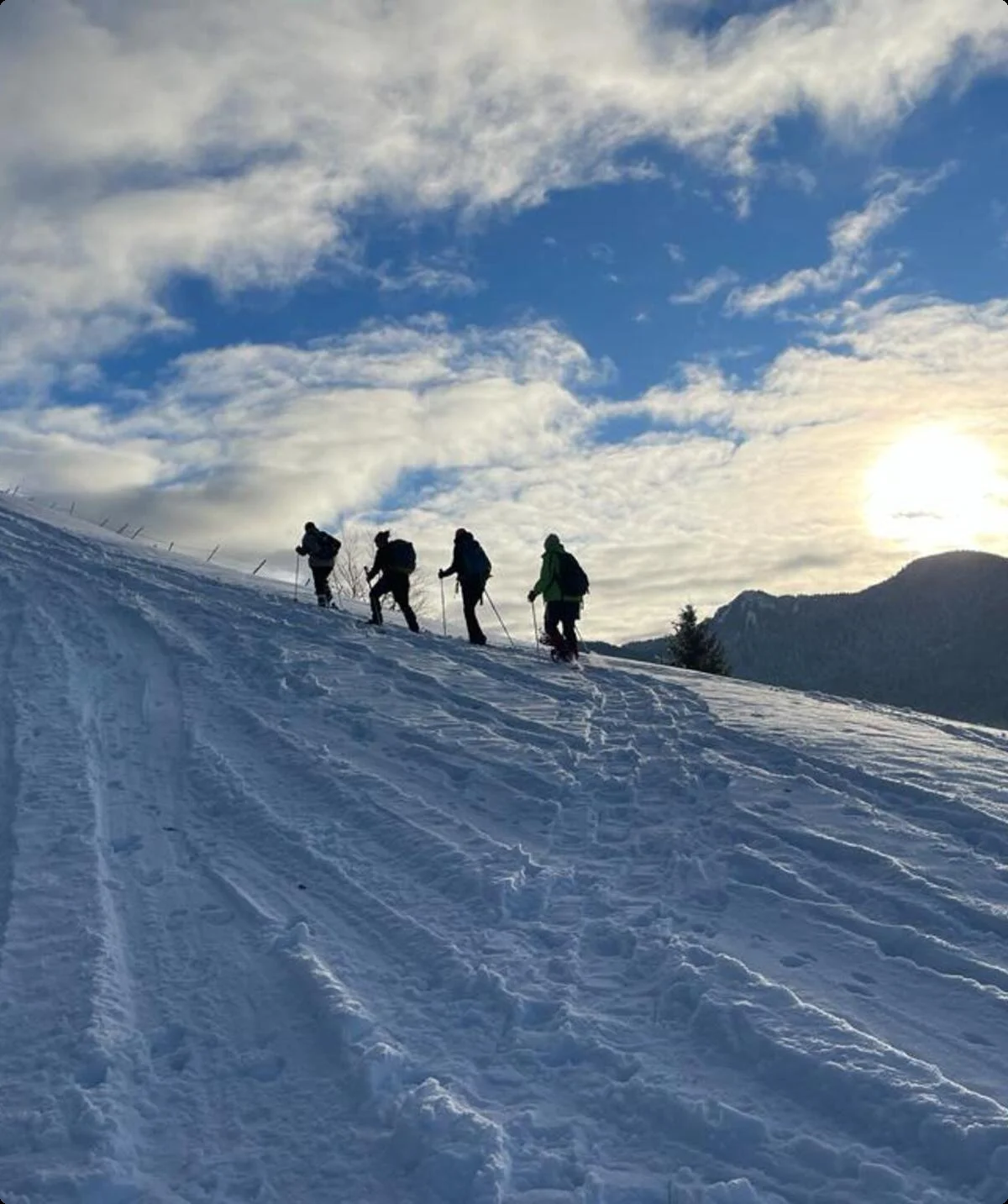 © Andrea Ascherl-Wisgickl