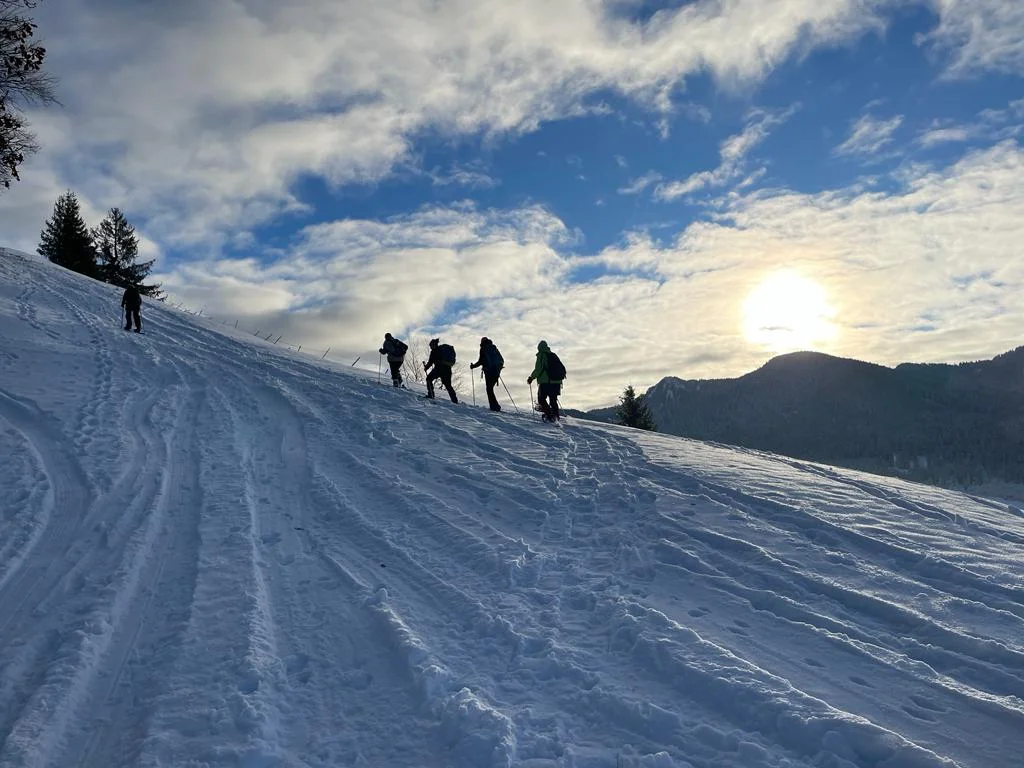 © Andrea Ascherl-Wisgickl