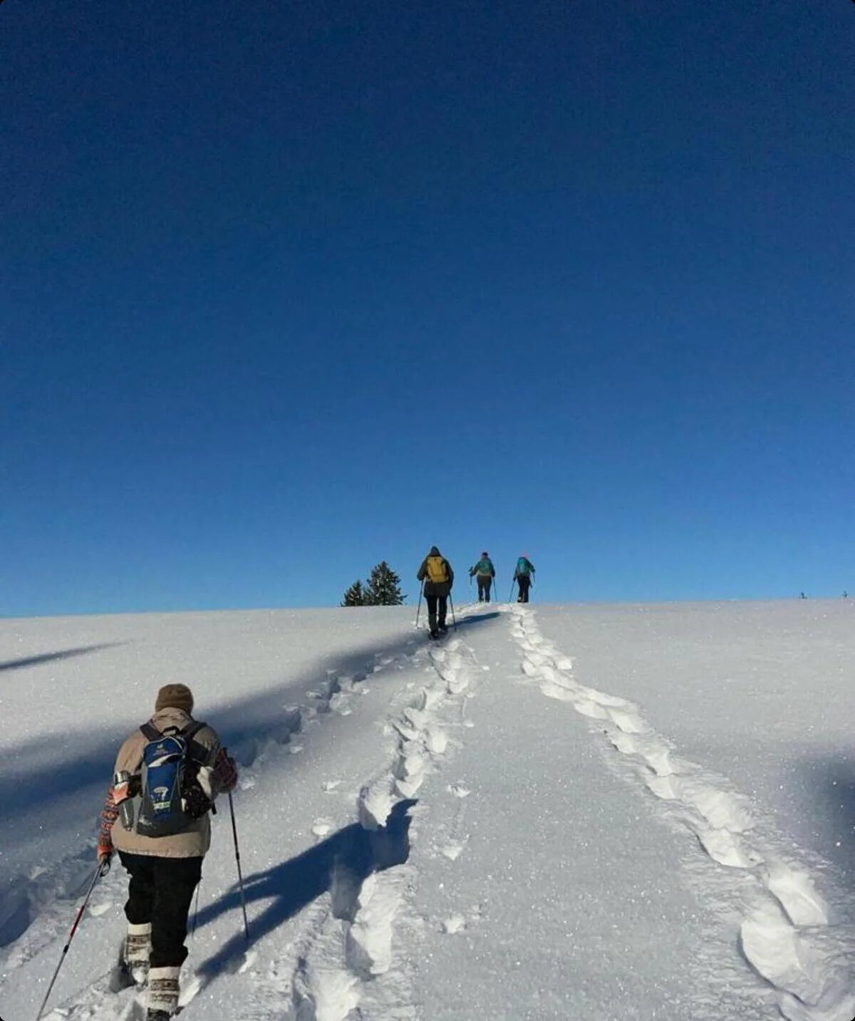 © Andrea Ascherl-Wisgickl