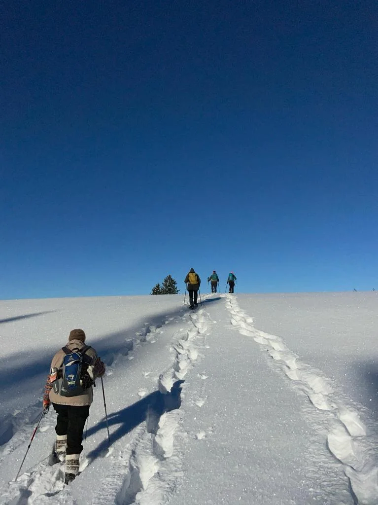 © Andrea Ascherl-Wisgickl