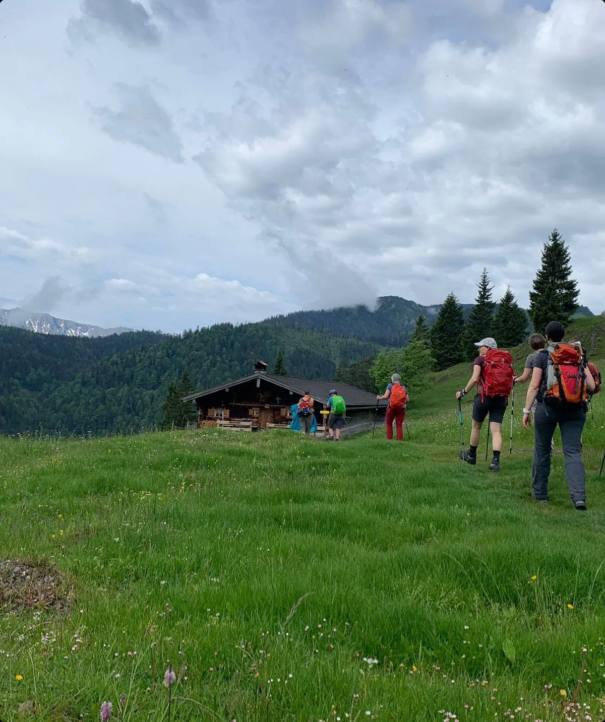 © Daniela Schaffler