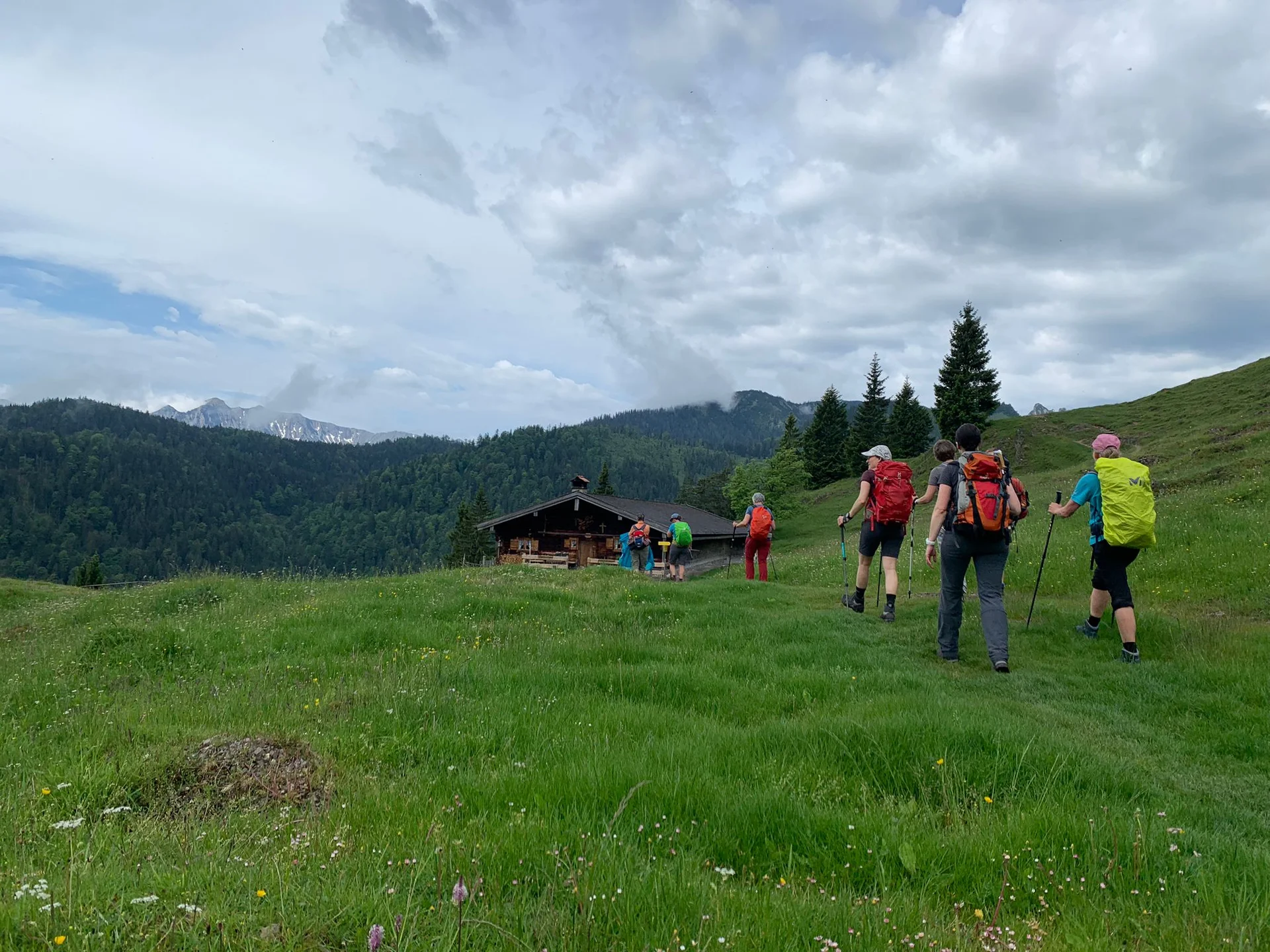 © Daniela Schaffler