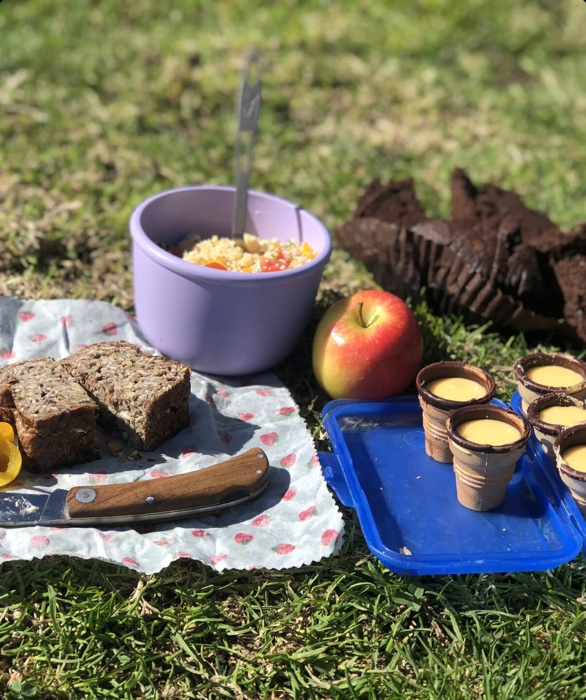 © Andrea Ascherl-Wisgickl