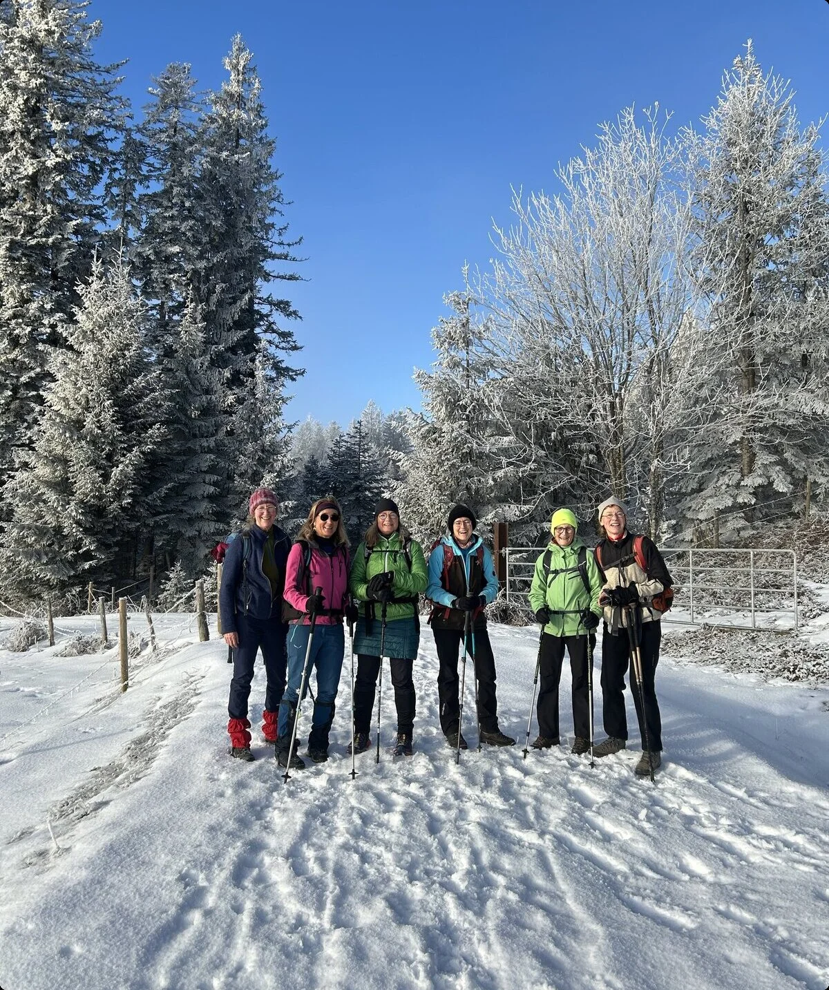 © Andrea Ascherl-Wisgickl