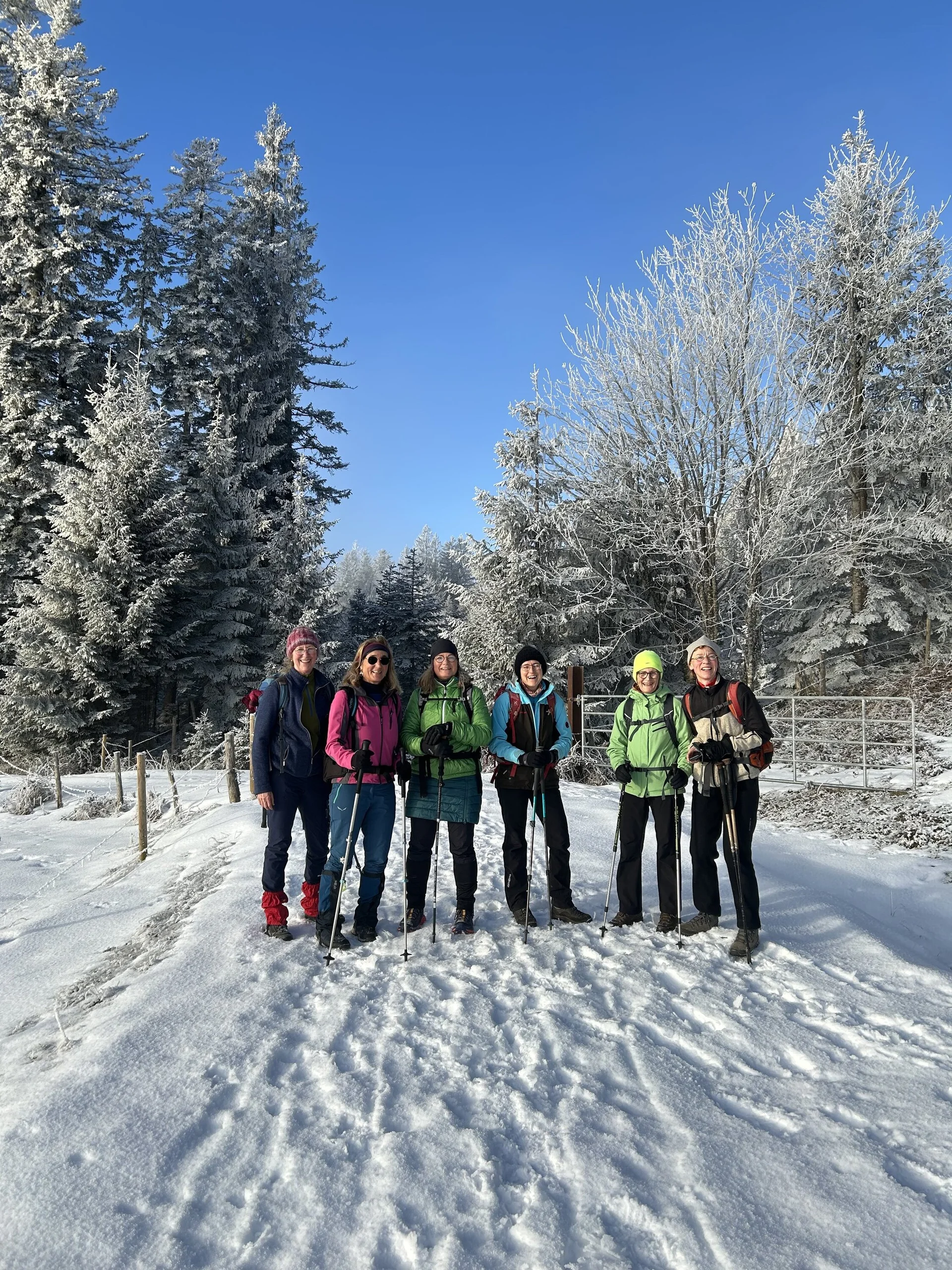 © Andrea Ascherl-Wisgickl