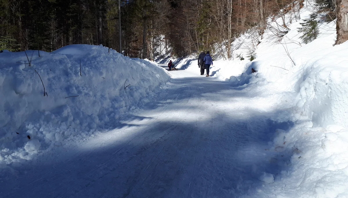 Familiengruppe Rodeln Buchsteinhütte | © Thomas Hüttl