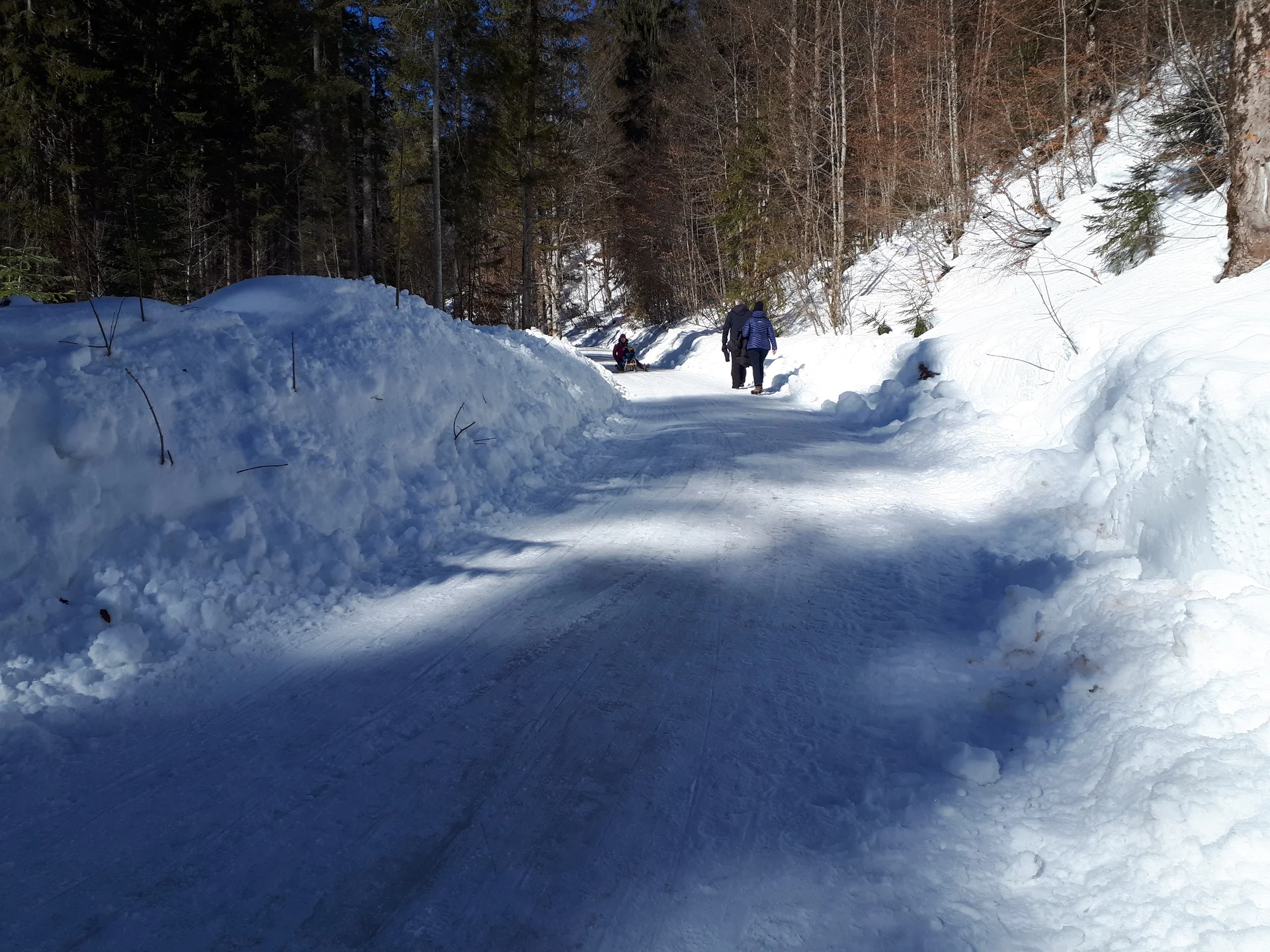Familiengruppe Rodeln Buchsteinhütte | © Thomas Hüttl