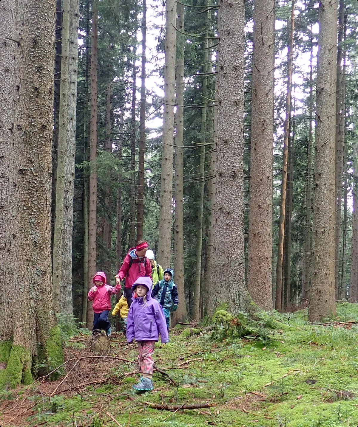 Familiengruppe Neureuth | © Thomas Hüttl