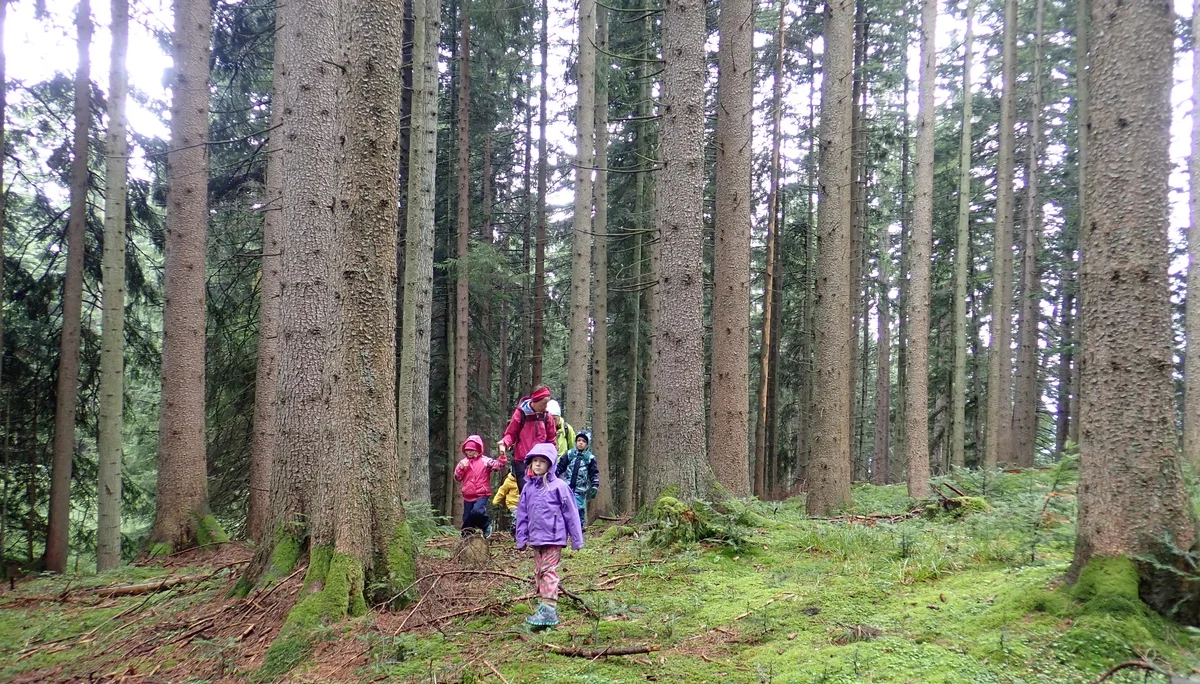 Familiengruppe Neureuth | © Thomas Hüttl