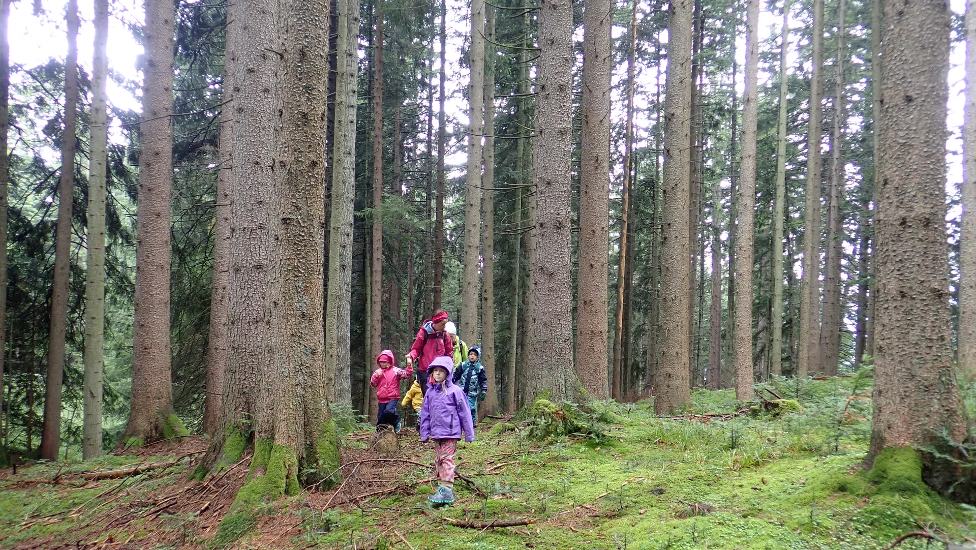 Familiengruppe Neureuth | © Thomas Hüttl