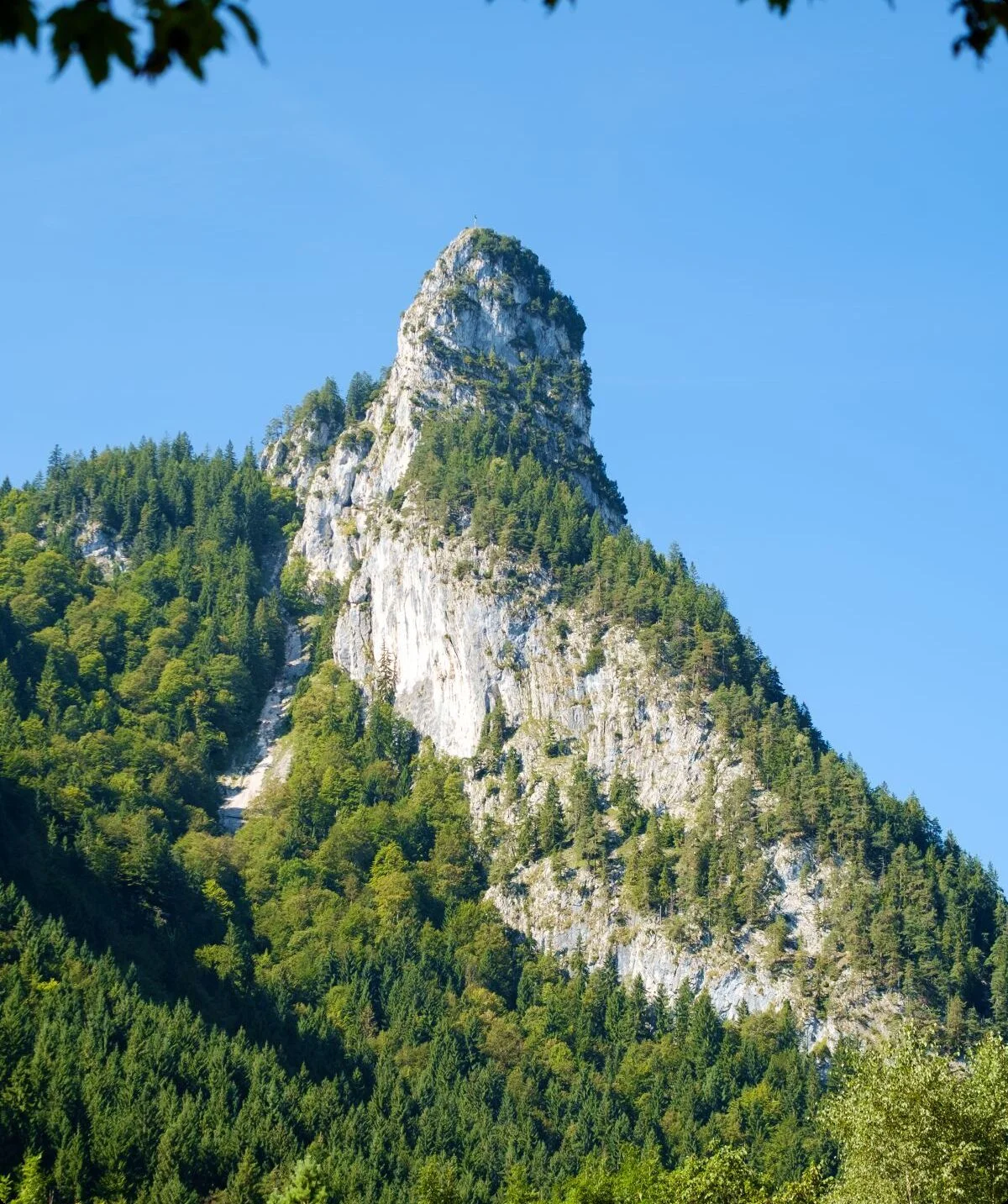 © Von 2015 Michael 2015 - Eigenes Werk, CC BY-SA 4.0, https://commons.wikimedia.org/w/index.php?curid=108792644