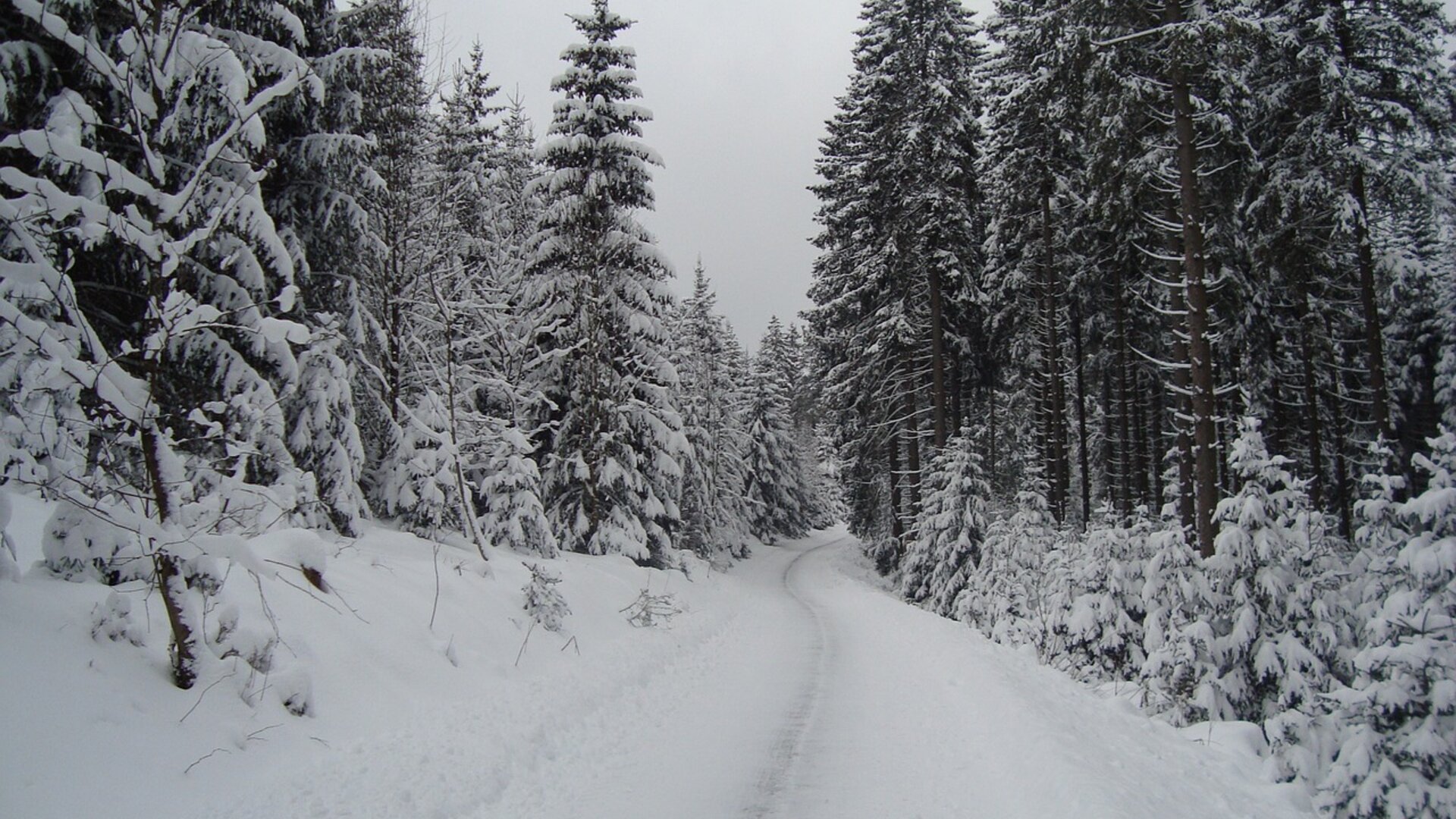 © Bild von 198570 auf Pixabay © Bild von 198570 auf Pixabay