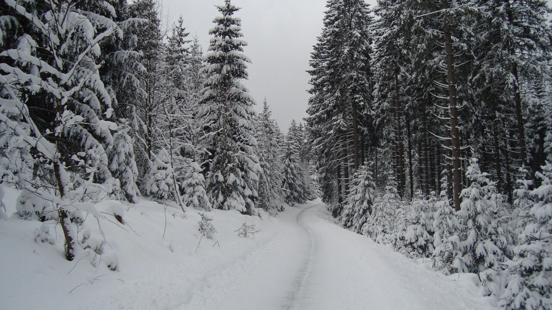 © Bild von 198570 auf Pixabay © Bild von 198570 auf Pixabay