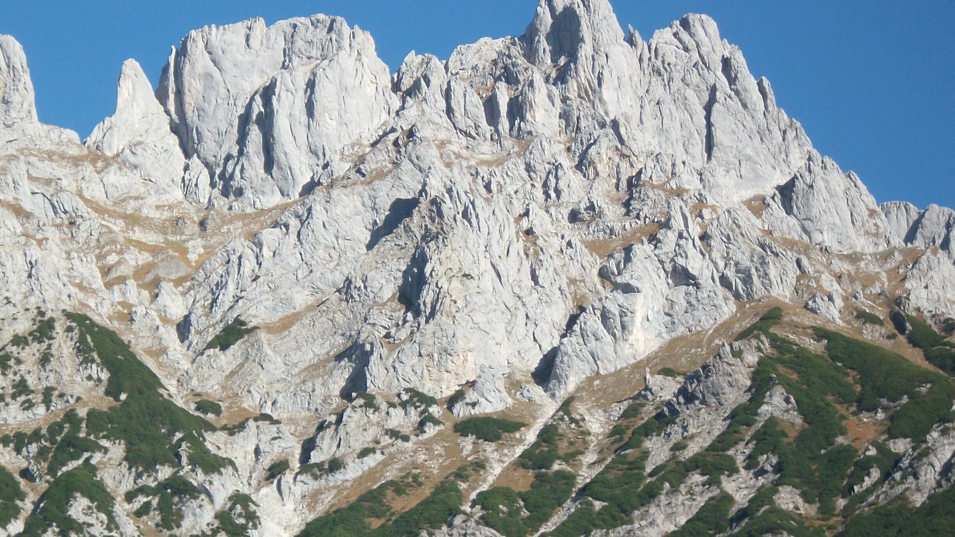 Regalmwand | © wikimedia