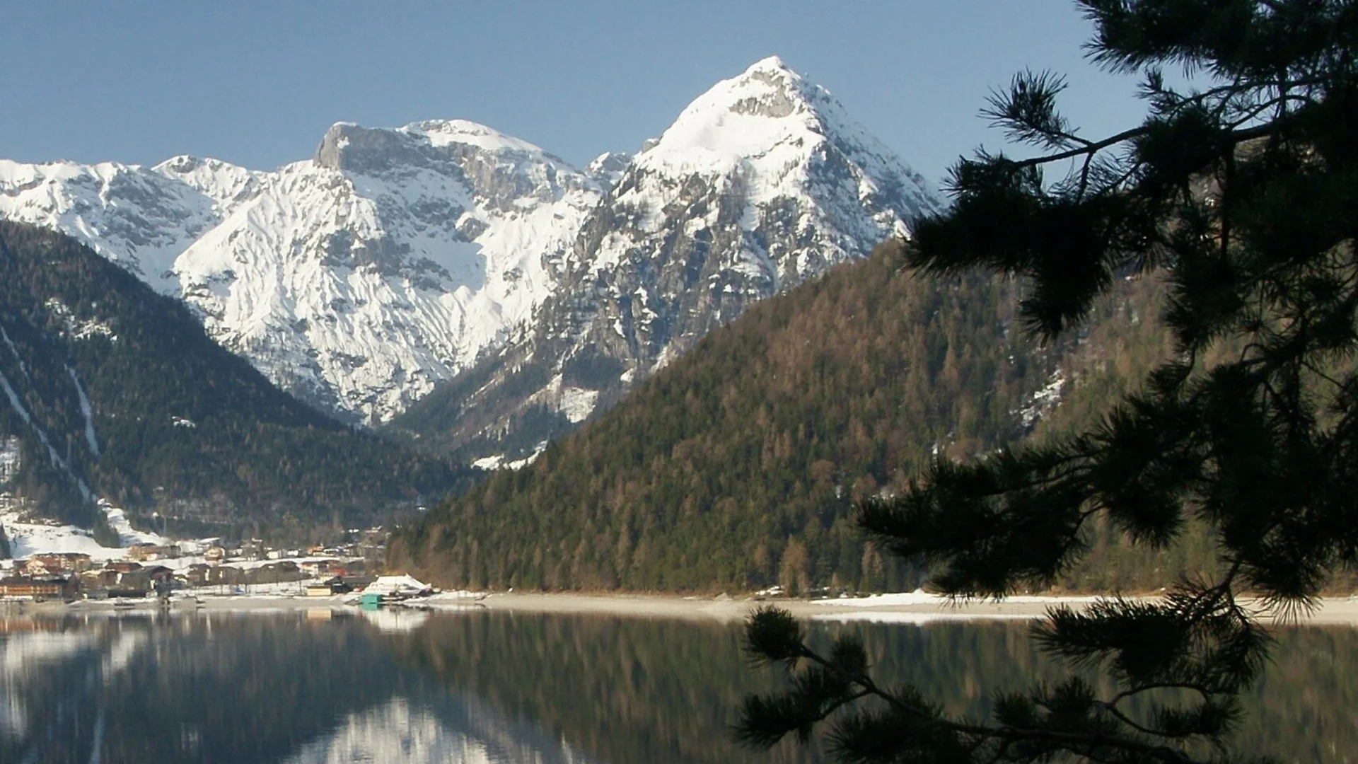 Dristkopf | © wikimedia