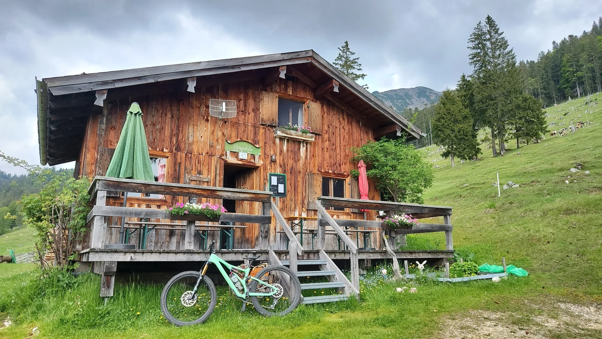 © Markus Halbritter