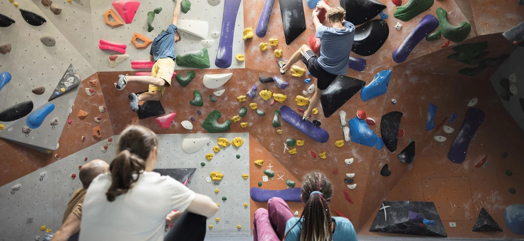 In der Boulderhalle: Ansicht einer Boulderwand mit Sportlern | © DAV / Jens Klatt