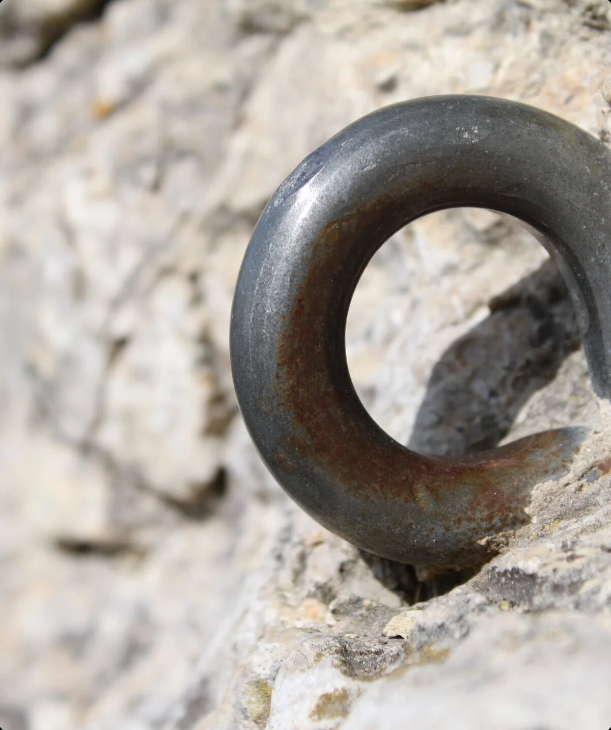 Sicherungsring in den Feld gehauen | © DAV/Steffen Reich