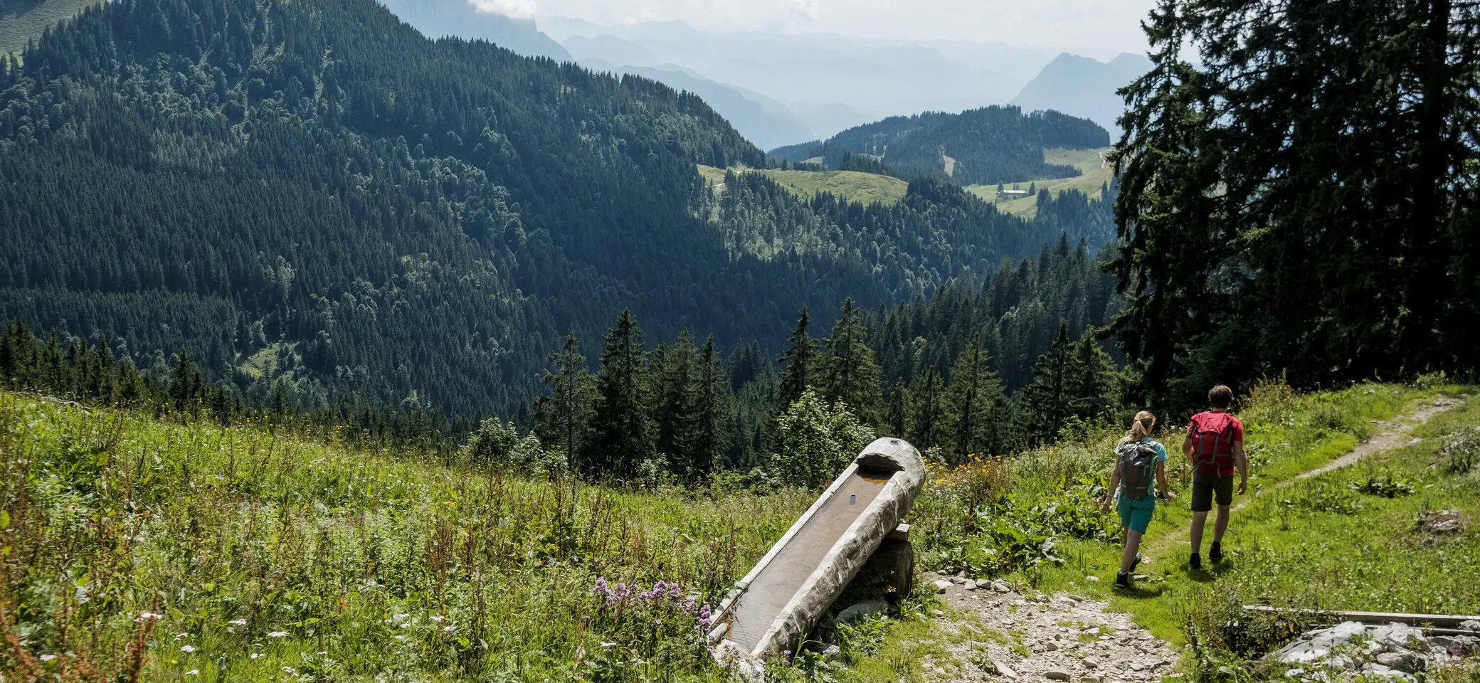 Zwei Wanderer auf einem Bergpfad in den Chiemgauer Alpen | © DAV/Hans Herbig